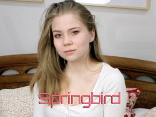 Springbird