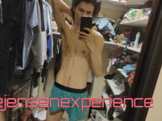 Stevejensenexperience