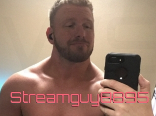 Streamguy8895