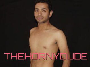 THEHORNYDUDE