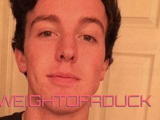 THEWEIGHTOFADUCK
