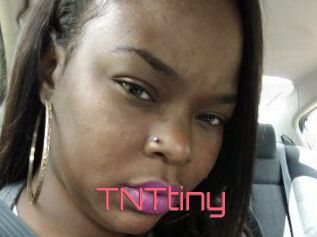 T_N_Ttiny