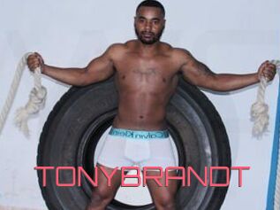 TONYBRANDT