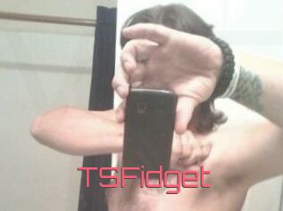 TSFidget