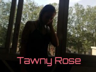Tawny_Rose