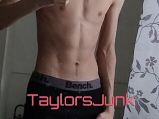 TaylorsJunk