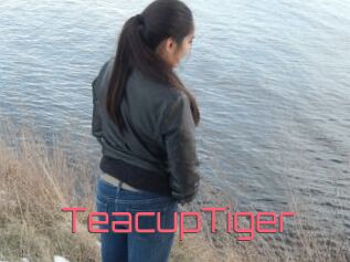 TeacupTiger