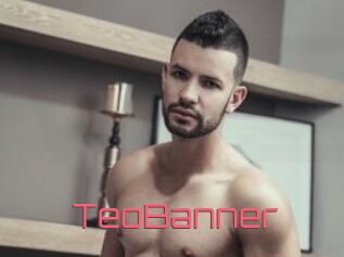 TeoBanner