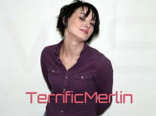 TerrificMerlin