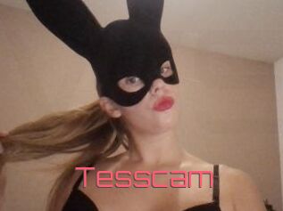 Tesscam