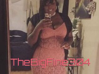 TheBigFine304