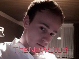 TheNewStud