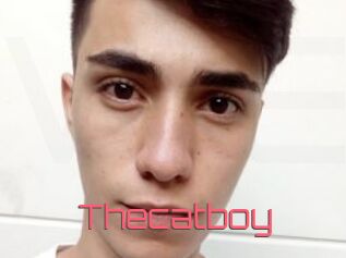 Thecatboy