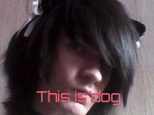 This_is_dog