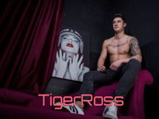 TigerRoss Webcam Sexe Direct