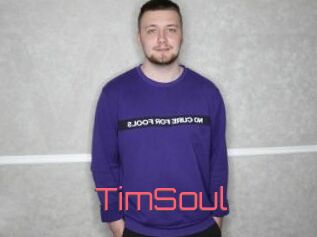 TimSoul