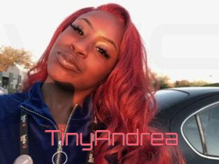 TinyAndrea