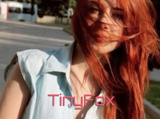 TinyFox
