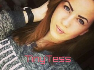 TinyTess