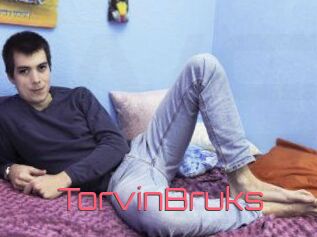 TorvinBruks