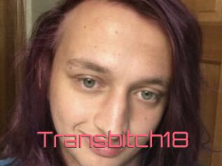 Transbitch18