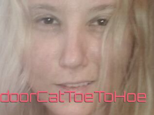 TravellingIndoorCatToeToHoe