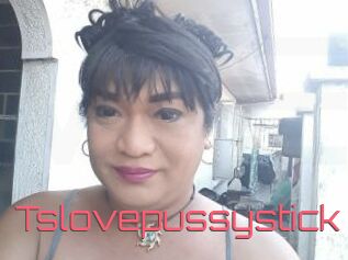 Tslovepussystick
