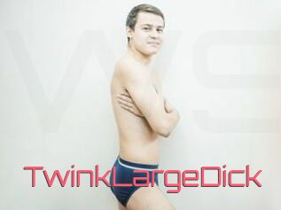 TwinkLargeDick