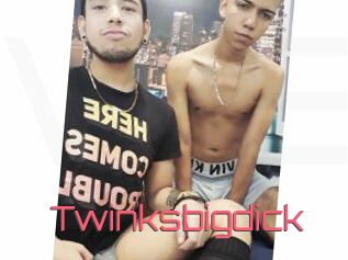 Twinksbigdick