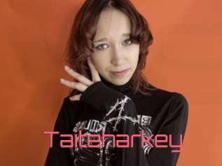 Taiteharkey