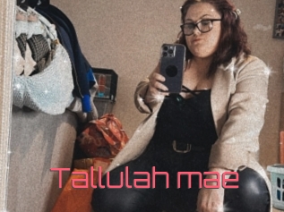 Tallulah_mae