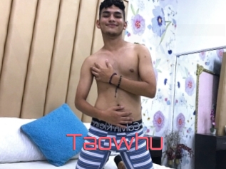 Taowhu