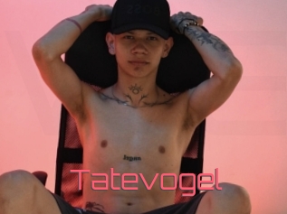 Tatevogel