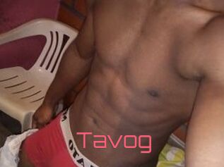 Tavog
