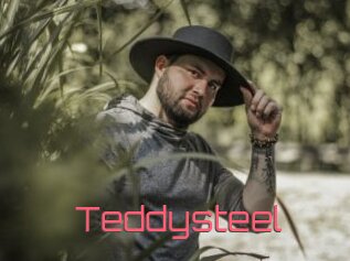 Teddysteel