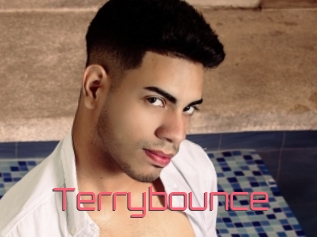 Terrybounce