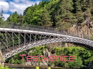 Testvenice