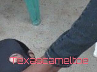 Texascameltoe