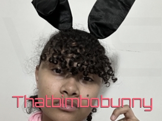 Thatbimbobunny
