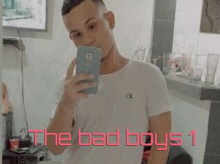 The_bad_boys_1