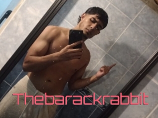 Thebarackrabbit