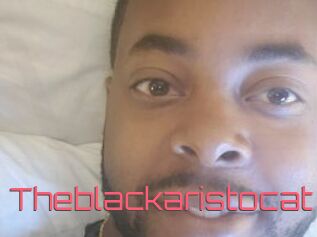 Theblackaristocat