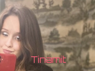 Tinamit
