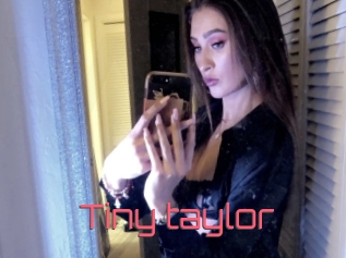 Tiny_taylor