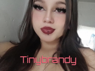 Tinybrandy