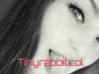 Tinyrabbitcol