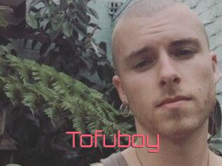Tofu_boy