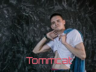 tommcat Webcam Sexe Direct