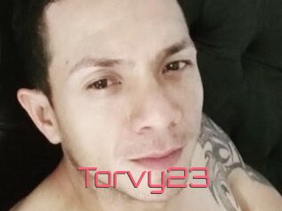 Torvy23