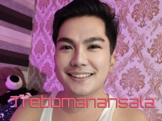 Trebbmanansala